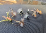 Crane Flies and Terrestrials Hopper